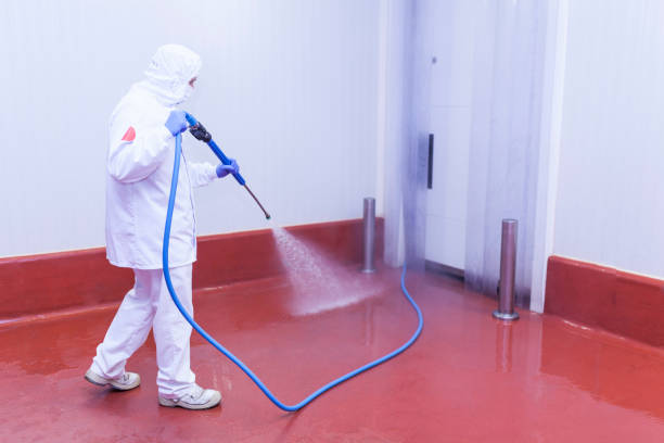 Best Pre-Holiday Cleaning  in Flatonia, TX