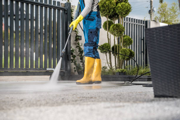 Best Solar Panel Cleaning  in Flatonia, TX